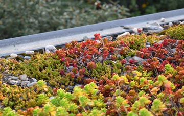 the cost of Upper Caldecote green roof installation