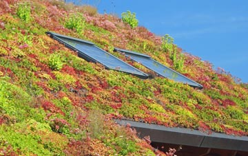 Upper Caldecote living roof systems