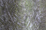 Upper Caldecote fibreglass roof work